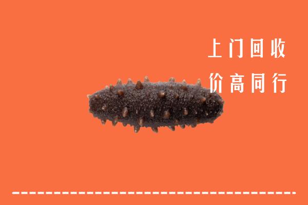 聊城回收海参